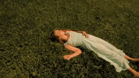 braid GIF by Topshelf Records