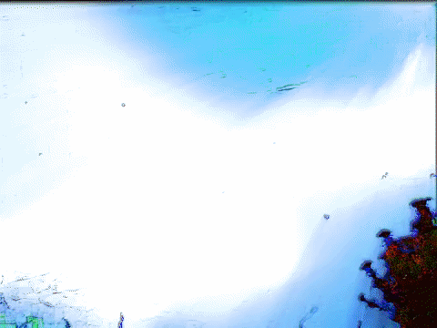 art colors GIF by MFD