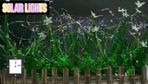 margotalva giphyupload GIF