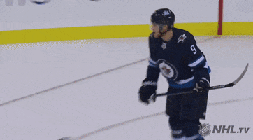 happy ice hockey GIF by NHL