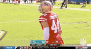 Regular Season Football GIF by NFL