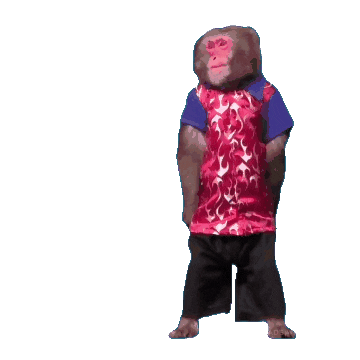 Fun Monkey Sticker