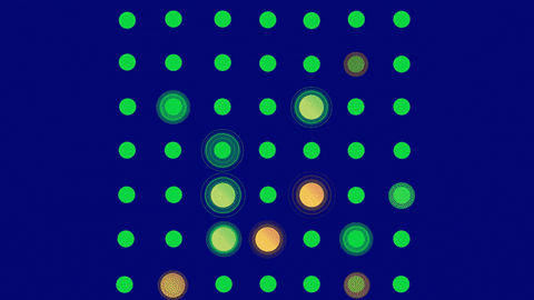 jamiebrightlocal giphyupload 1764y20372hdn29030fn2kd027rfn local search grid GIF