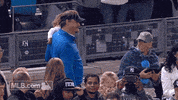 nyy GIF by MLB