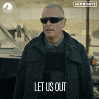 Let Me Go Move GIF by Paramount Network