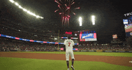 Dansby Swanson Baseball GIF by MLB