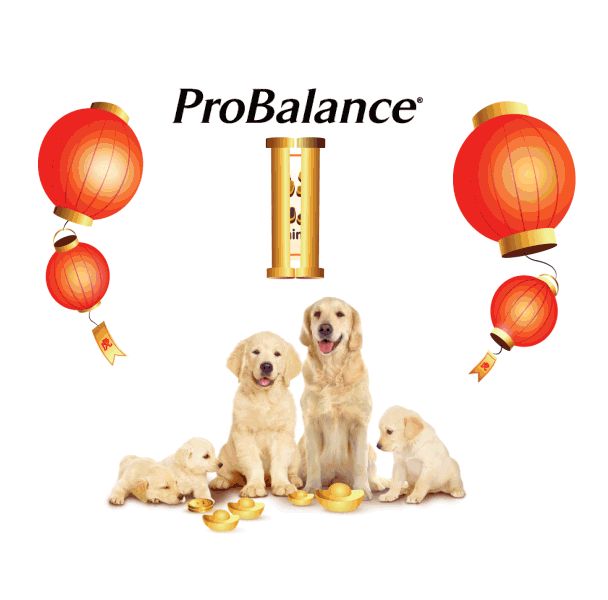 Happy New Year Sticker by ProBalance MY