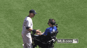 new york yankees GIF by MLB
