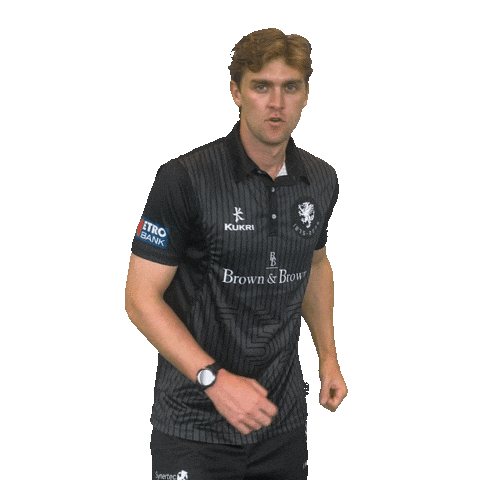 Ball Bat Sticker by Somerset County Cricket Club