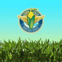 Brookshauser GIF by Corn Fest