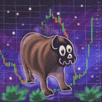 Crypto Feeling GIF
