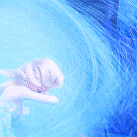 elsa GIF