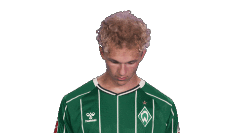 Werder Bremen Opitz Sticker by Bundesliga