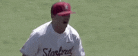World Series Baseball GIF by NCAA Championships
