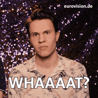 Eurovision Wtf GIF by NDR