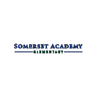 Academica Schools Sticker by Academica