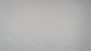 ommhdm here right i search GIF