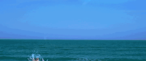 sea world ocean GIF