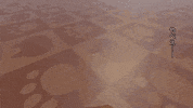 Cat GIF