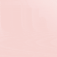 Cat Crypto GIF by Flow