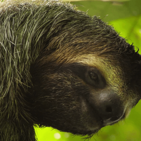 Baby Reaction GIF by NETFLIX