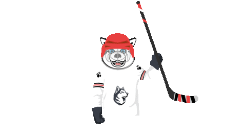 college hockey Sticker by Northeastern University