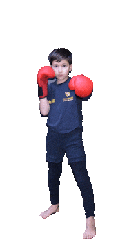 Martial Arts Sora Sticker by Champion Training Sanda Martial Art