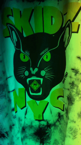 SKIDZ giphyupload cat trippy psychedelic GIF