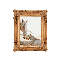 Horserescue Sticker by All Seated in a Barn