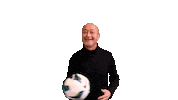Voetbal Sticker by VanderVeer