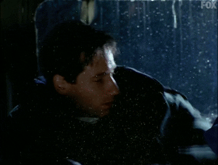 x files GIF by The X-Files
