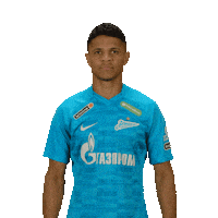 Sport Santos Sticker by Zenit Football Club