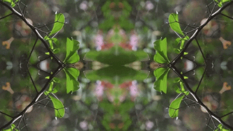Art Love GIF by jorgemariozuleta