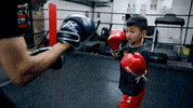 Boxing GIF