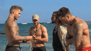 temptation island no GIF by Videoland