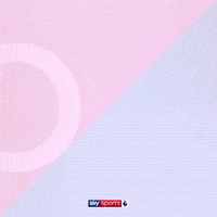 Football Soccer GIF by skysports