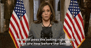 Kamala Harris GIF by GIPHY News