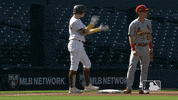 Excited Major League Baseball GIF by MLB