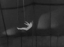 classic film oshaughnessys boy GIF by Warner Archive