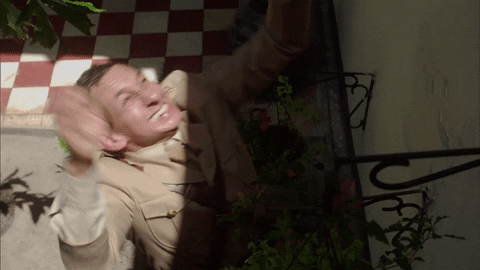 telemundo GIF by Celia