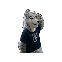 Wolfpack Looking Sticker by Madison College