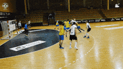 Celebrate Czech Republic GIF by HCB Karviná