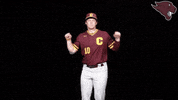 Baseball GIF by CUCougars