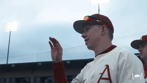High Five College Baseball GIF by Arkansas Razorbacks