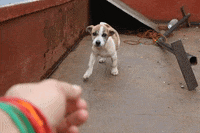 GIF by Digg