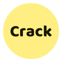 Belgium Crack Sticker by Smile Kombucha