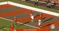 2018 Nfl Football GIF by NFL