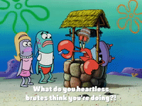 season 4 GIF by SpongeBob SquarePants