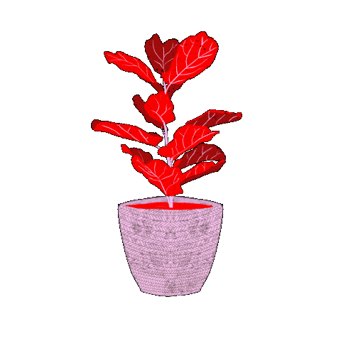 luciachierri giphyupload yes girls viernes Sticker