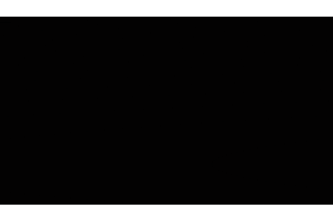 GIF by GLASSY EUROPE
